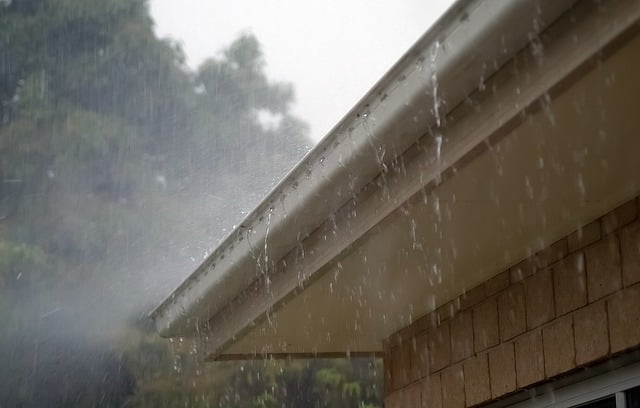 Guía de compra de depósito para agua de lluvia