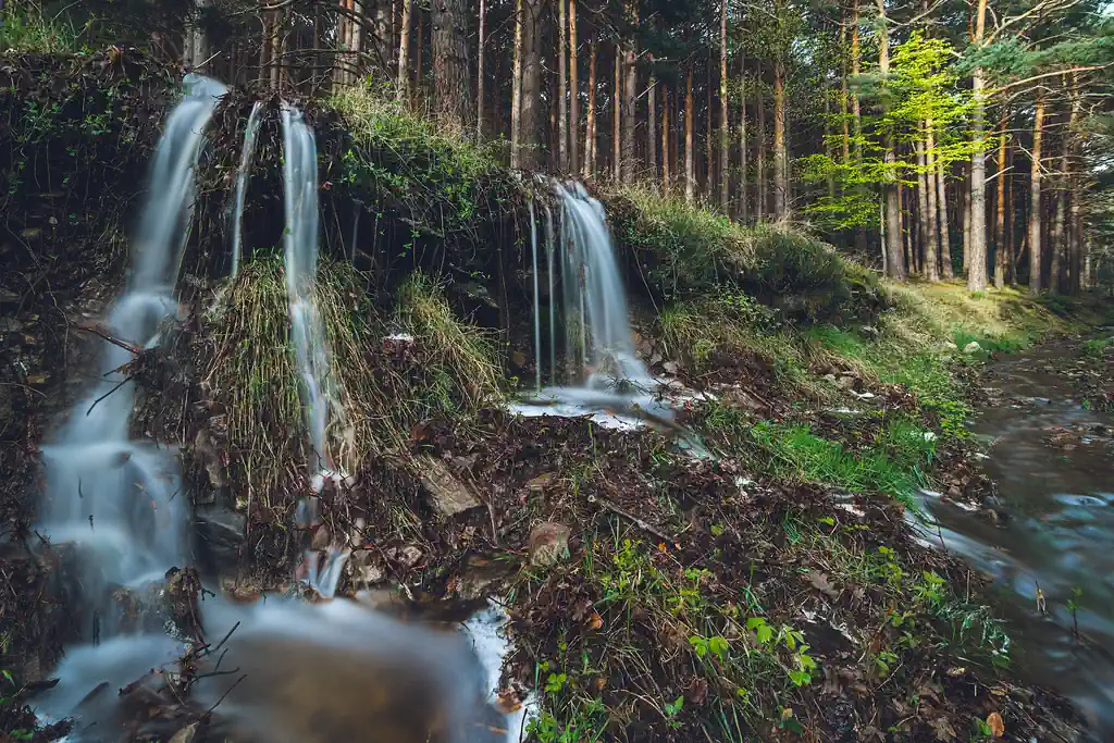 52159809561 7b982093ba b