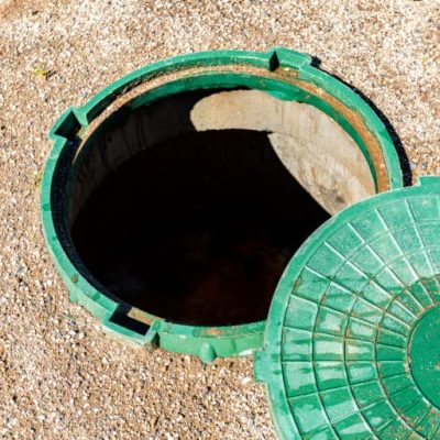 148432763 l normal none 768x512