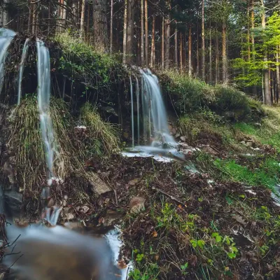 52159809561 7b982093ba b